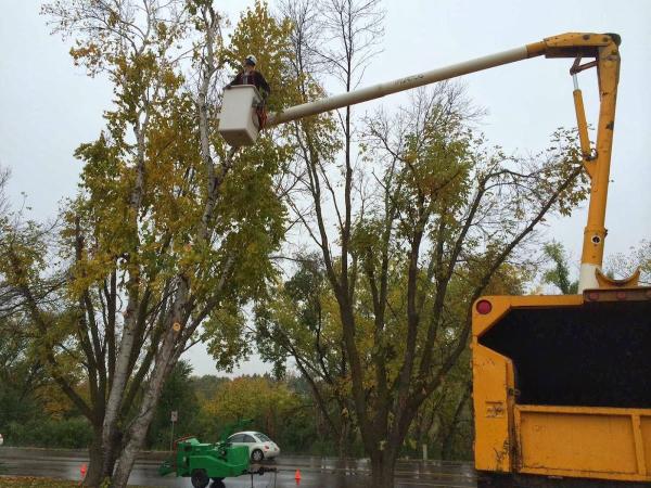 Atlas Tree Service