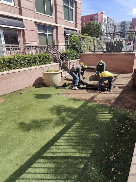 Denver Design Landscape