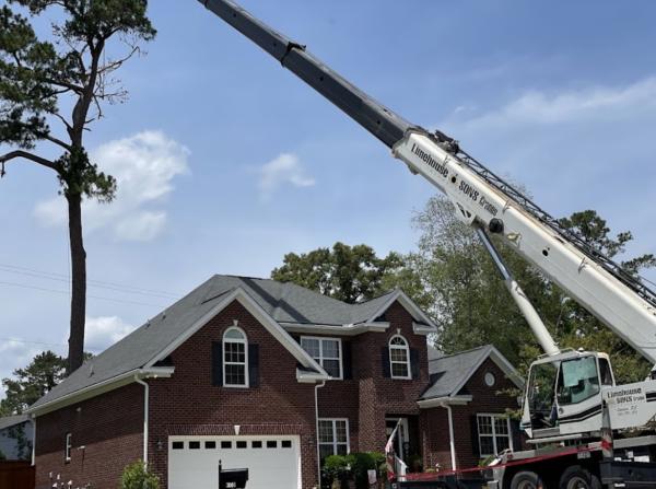 Royal Tree Service