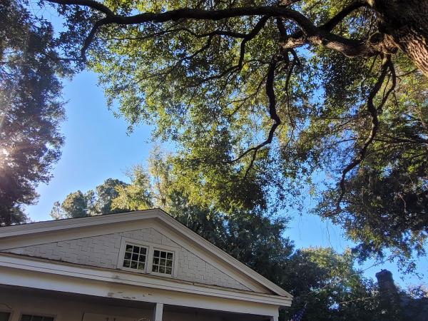 Royal Tree Service