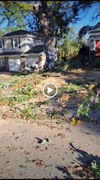 Larin Tree and Lawn Service LLC