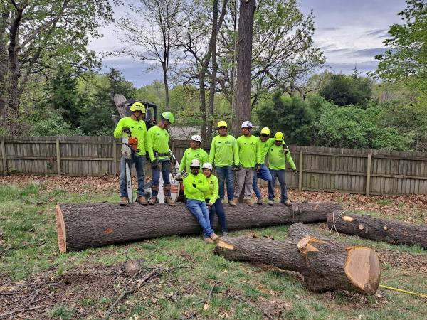 Larin Tree and Lawn Service LLC