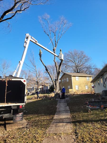 Larin Tree and Lawn Service LLC
