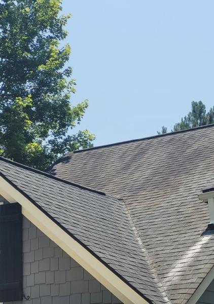 Realclean Ecs Pressure Washing Services