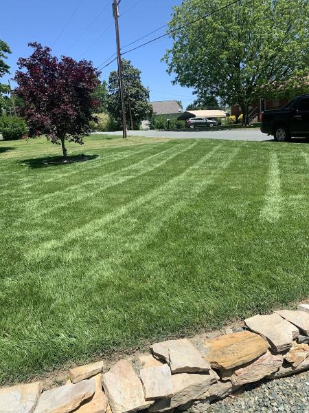 Cecilio Landscaping
