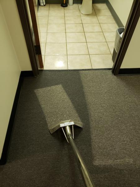Dynamic Carpet Care