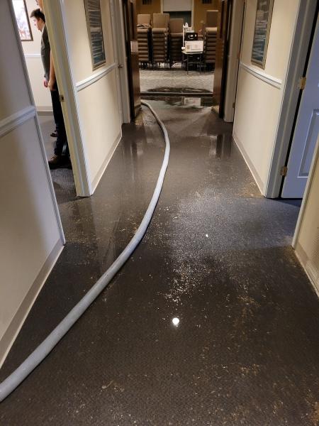 Dynamic Carpet Care