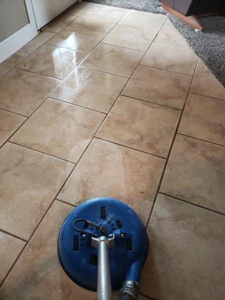 Dynamic Carpet Care