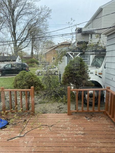 Nature´s Beauty Tree Service