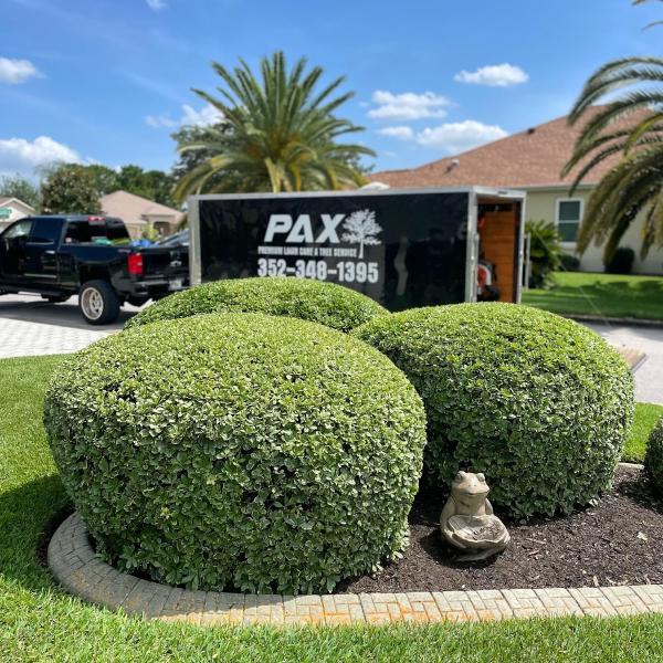 PAX Premium Lawn Care and Tree Service