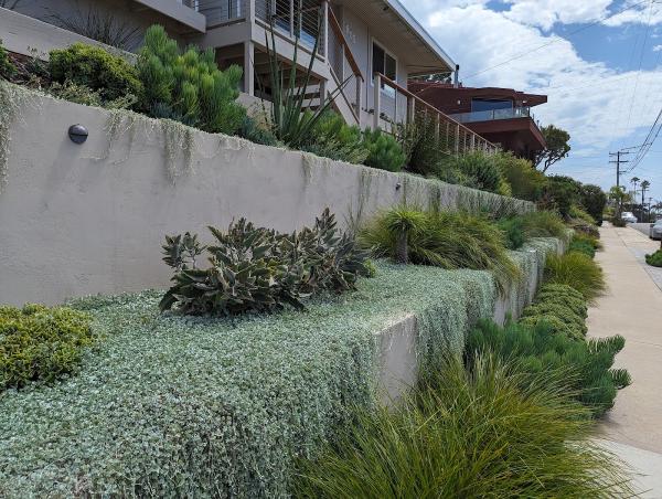 Promised Path Landscaping