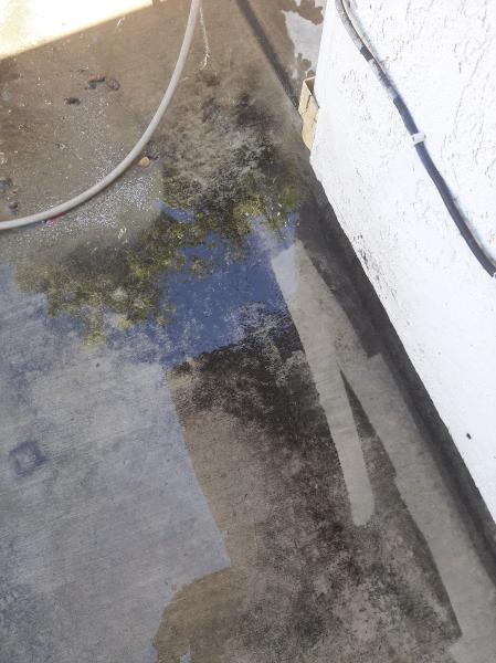True Window Washing