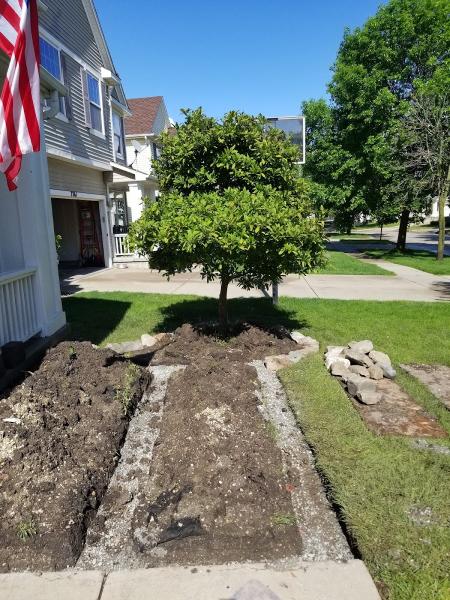 Pilot Landscape Solutions