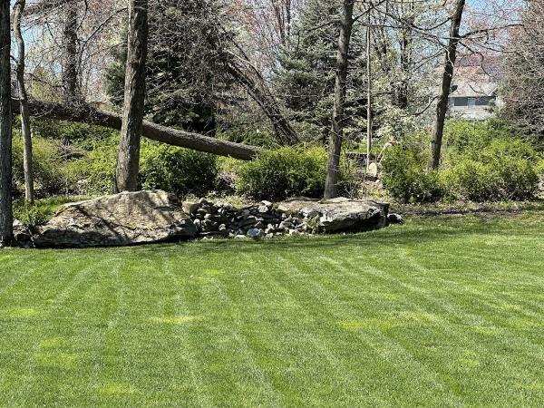 All County Tree Services