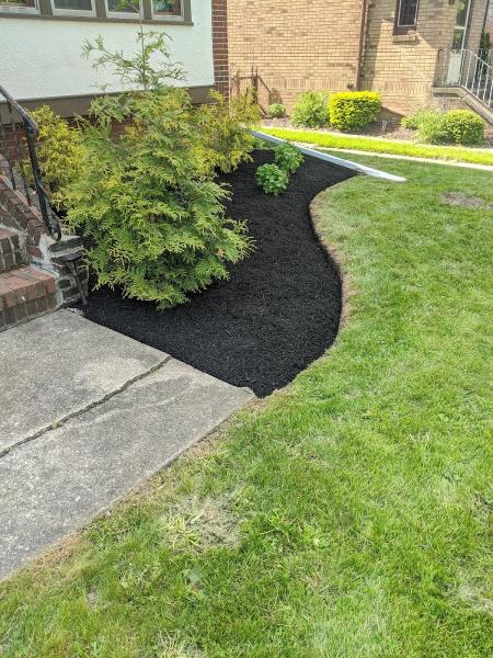 Pristine Green Lawn Care