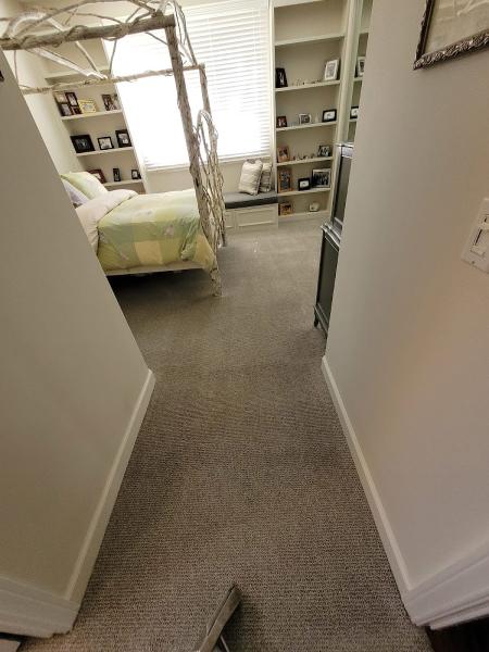 Carpet Land Cleaning