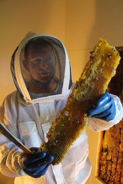 Bee Solutions