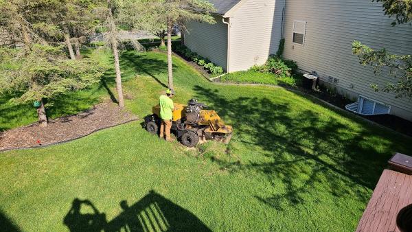 The Stump Guy Stump Grinding