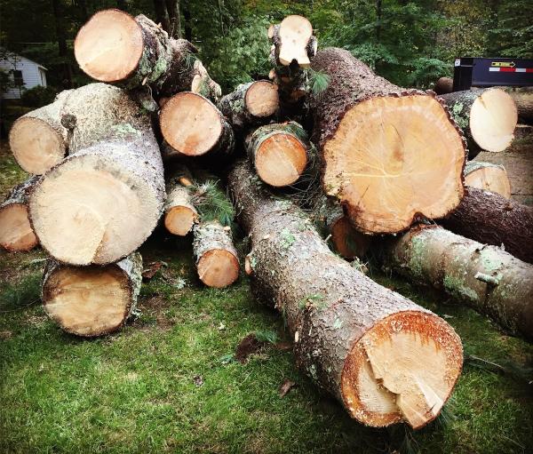 Dennis Tree Service Inc