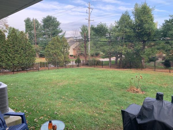 Michael's Fence