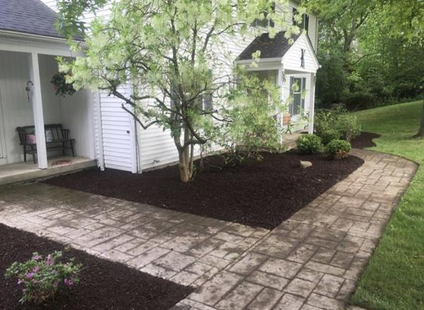 Quality Cuts Lawn Care