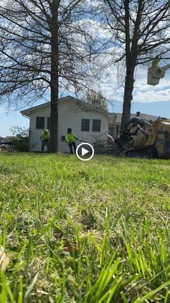 West Tree Service