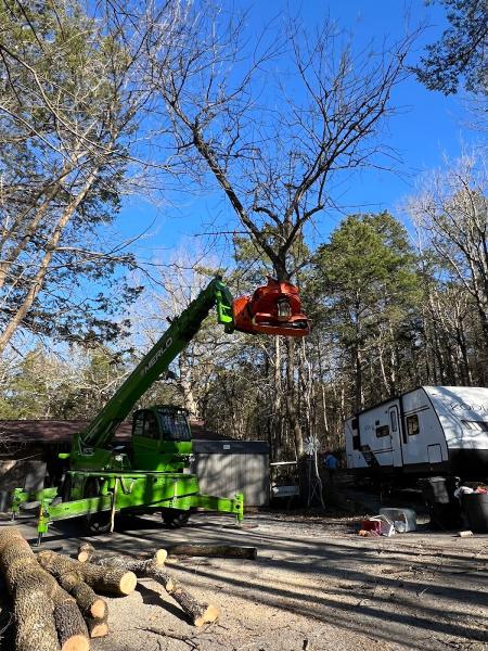 West Tree Service
