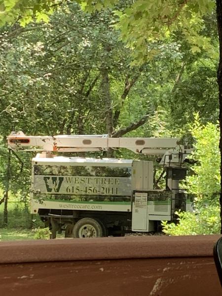 West Tree Service