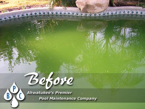 BPC Pool Maintenance