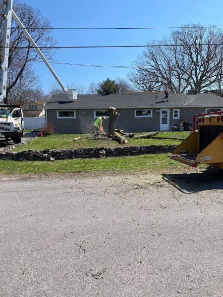 Woods Tree Service