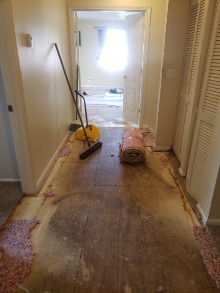 D1A Flooring