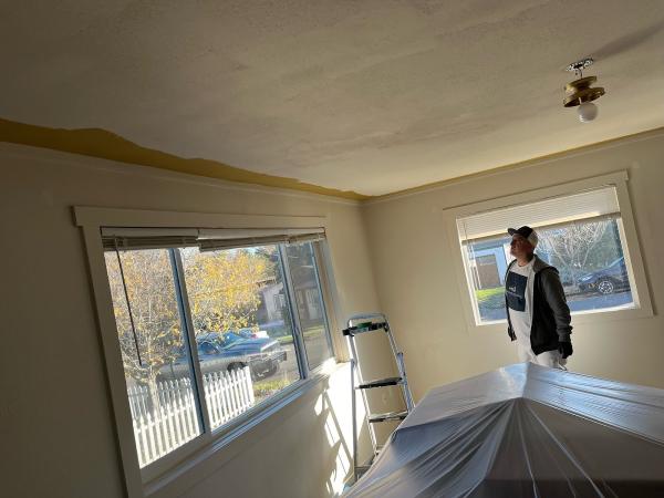 All American Painting & Remodel