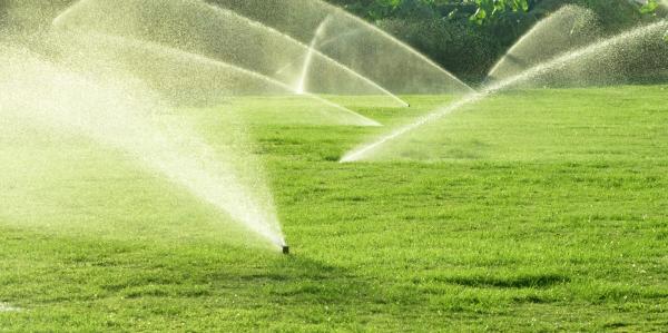 Briguglio Quality Cuts Landscaping