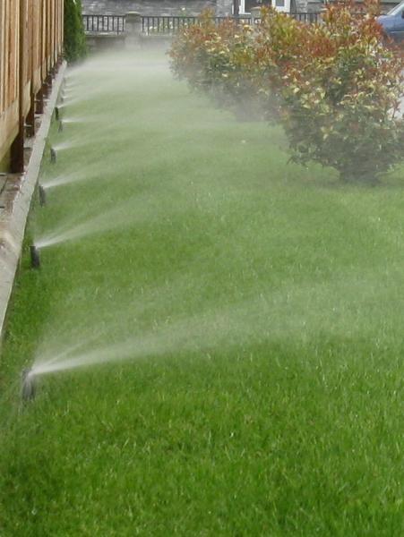 Briguglio Quality Cuts Landscaping