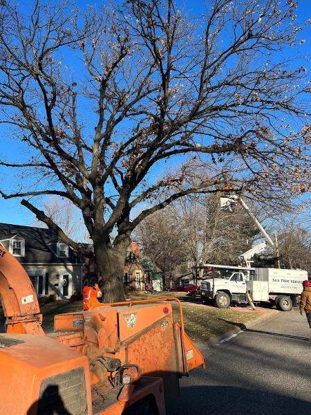 S&S Tree Service (Stewart and Stewart Tree Service