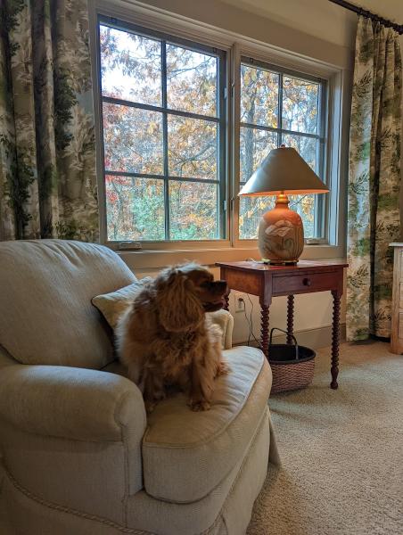 Marina Johnston Interior Design