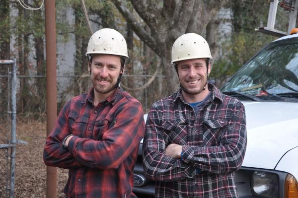 Treewise LLC