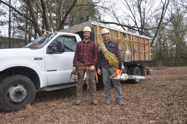 Treewise LLC