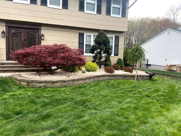 SNG Tree Service LLC
