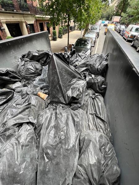 Strictly Junk Removal