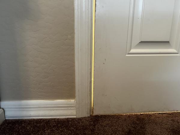 The Perfect Clean