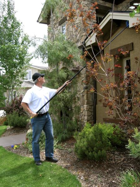 Spider Man Natural Pest Control