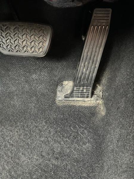 Magic Carpet Cleaning & Restoration