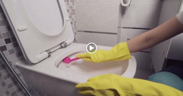 Rhode Island Cleaning Service