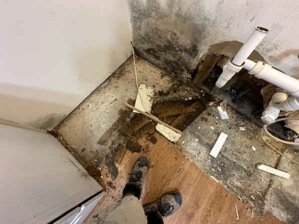 All Dry Services