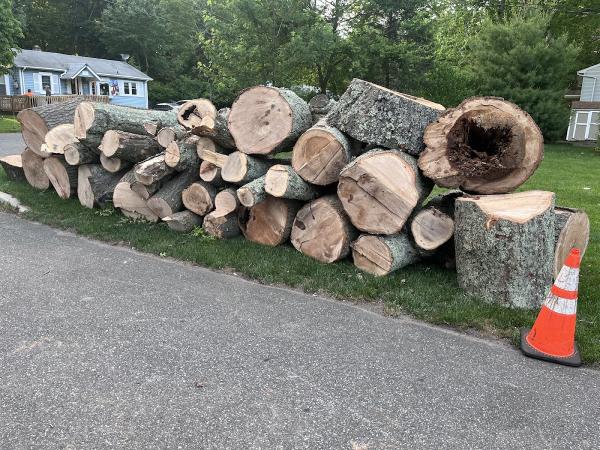 Puebla Tree Service LLC
