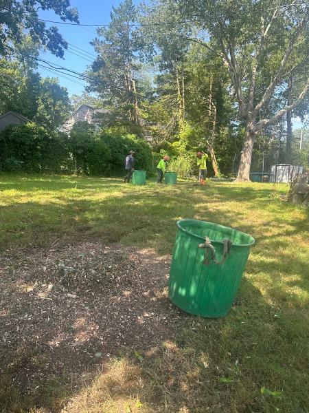 Puebla Tree Service LLC