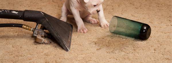 MWJ Carpet Care