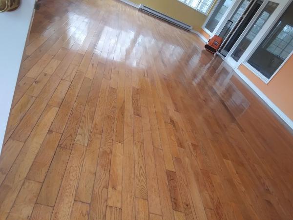 Pro Care Carpet and Floor Cleaning