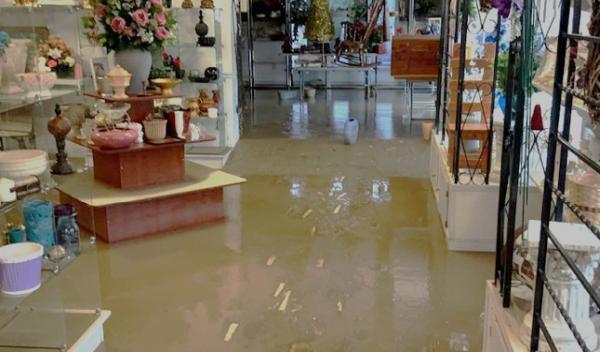 Habibre Water Damage